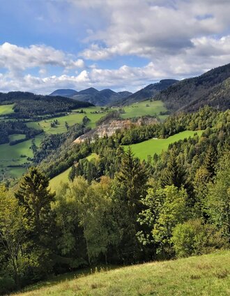 Weiz Naas Steinbruch_TVB Oststmk_Foto Pollhammer.jpg | C. Pollhammer | © Oststeiermark Tourismus
