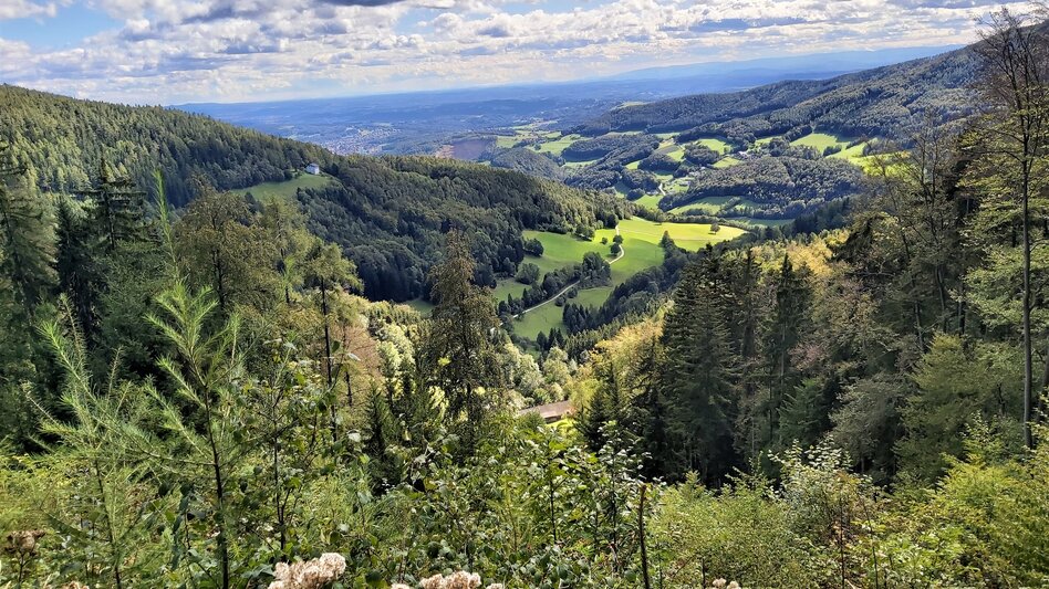 Radfahren Weizer Almenland-Radtour, Variante 1: Weiz - Naas - St. Kathrein - Touren-Impression #2.4 | © Oststeiermark Tourismus