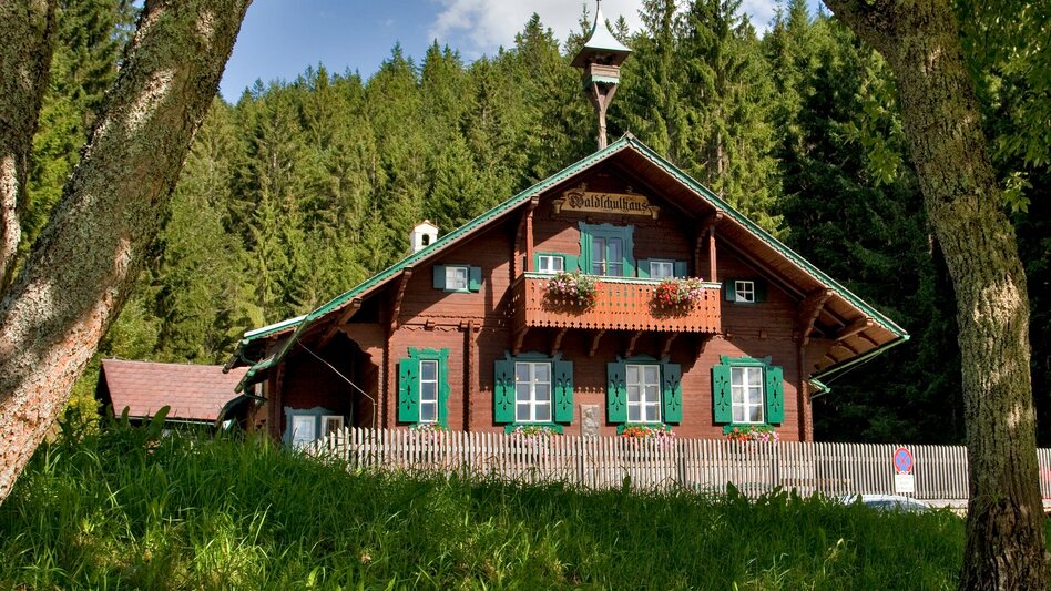 Wanderung Waldheimatweg - Touren-Impression #2.2 | © TV Hochsteiermark