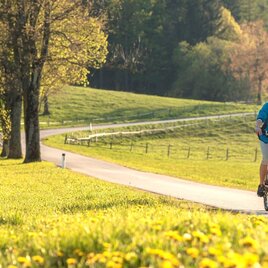 Weizer Almenland Radtour_Oststeiermark  | © Oststeiermark Tourismus