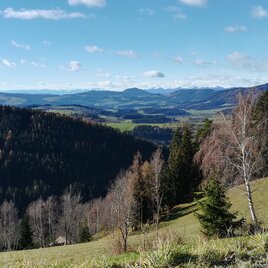 Brandlucken Blick über Almen_Almenland_Foto Fuchs.jpg | © Oststeiermark Tourismus