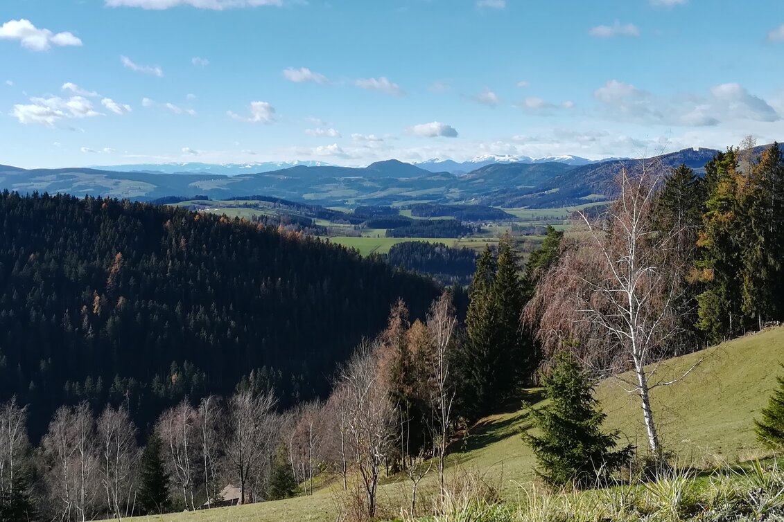 Radfahren Weizer Almenland-Radtour, Erweiterung St. Kathrein - Brandlucken - Touren-Impression #1 | © Oststeiermark Tourismus
