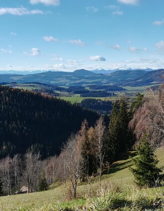 brandlucken_blick_ueber_almen_almenland_foto_fuchs.jpg | C. Raith | © Oststeiermark Tourismus