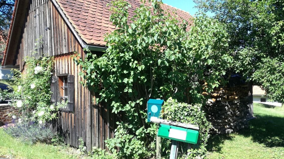 Wanderung Prof.-Fred-Strohmeier-Weg - Touren-Impression #2.4 | © Thermen- & Vulkanland