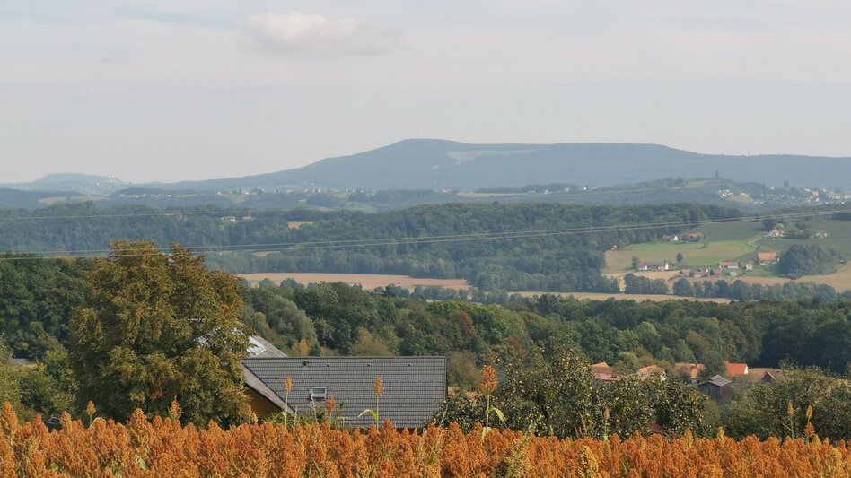 Wanderung Prof.-Fred-Strohmeier-Weg - Touren-Impression #2.12 | © Thermen- & Vulkanland