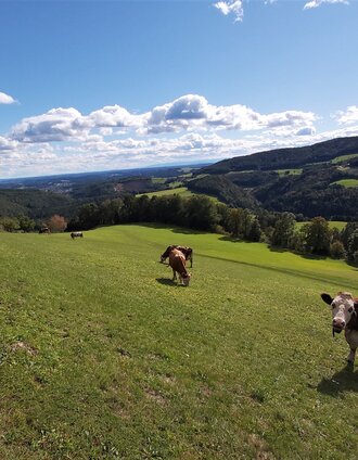 Weiz Lantscha Ausblick1_TVB Oststmk_Foto Pollhammer.jpg | C. Pollhammer | © Oststeiermark Tourismus