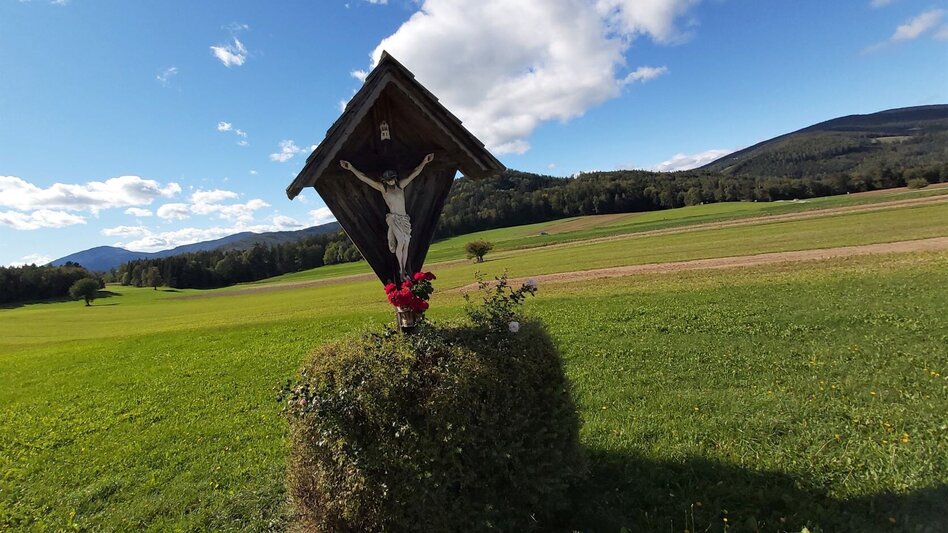 Radfahren Weizer Almenland-Radtour, Variante 2: Weiz - Landscha - St. Kathrein - Touren-Impression #2.2 | © Oststeiermark Tourismus