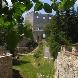 Die Burgruine Hohenwang am Weg | © Marktgemeinde Langenwang