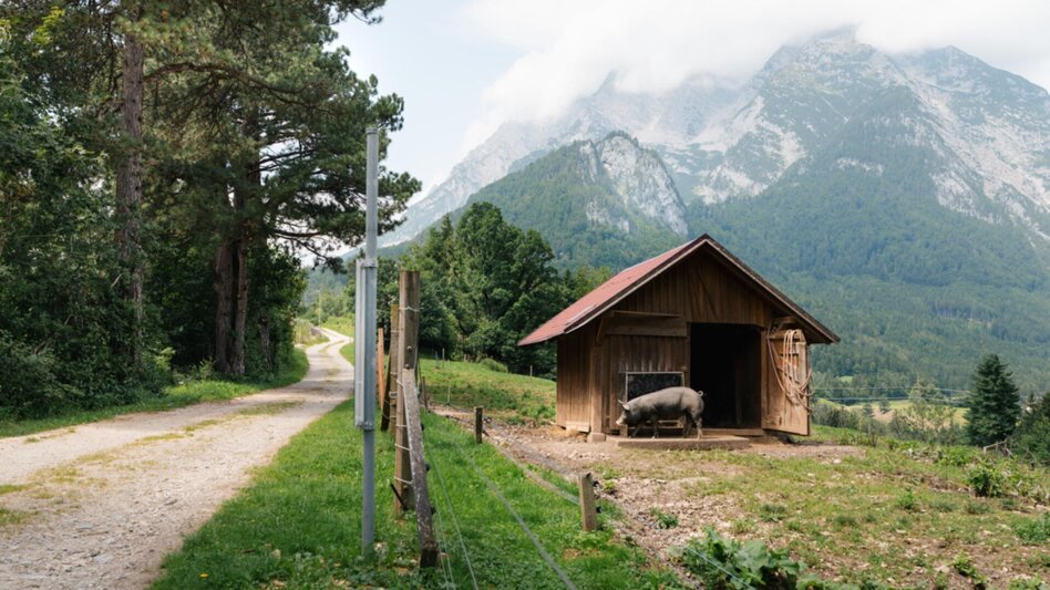 Wanderung Tressenstein ab Schloss Trautenfels - Touren-Impression #2.3 | © Christoph Lukas