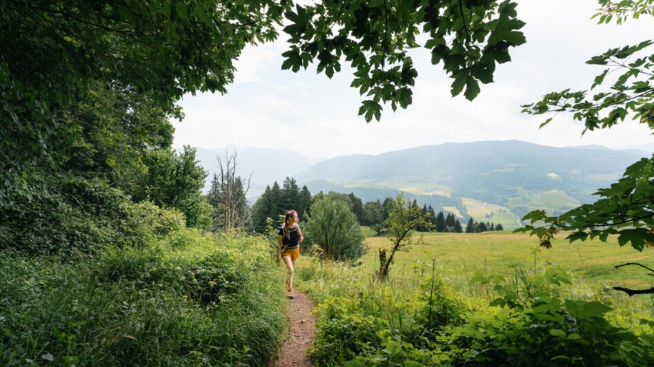 Wanderung Tressenstein ab Schloss Trautenfels - Touren-Impression #2.6 | © Christoph Lukas
