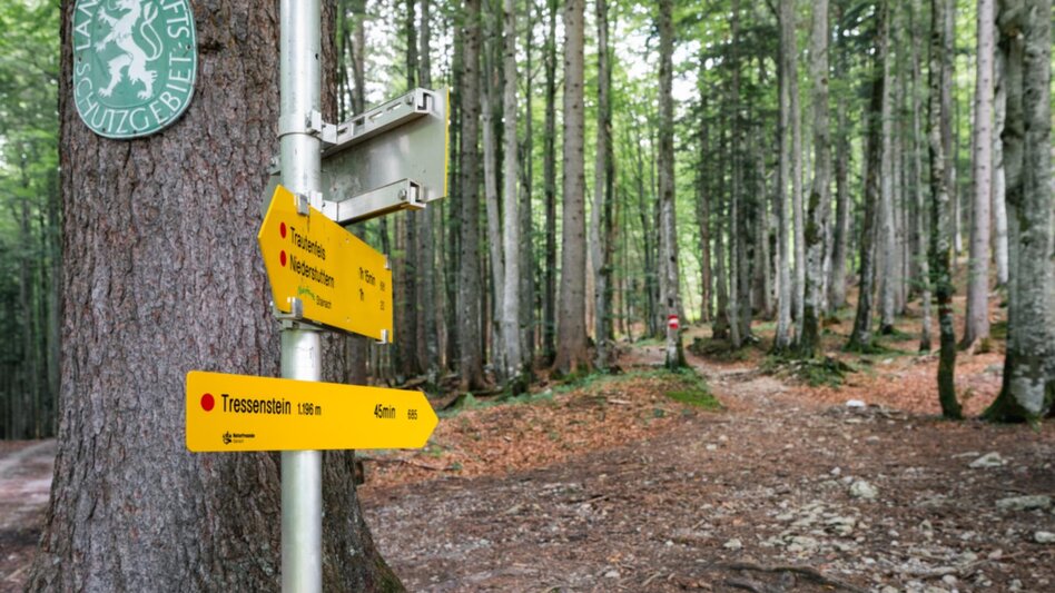 Wanderung Tressenstein ab Schloss Trautenfels - Touren-Impression #2.7 | © Christoph Lukas