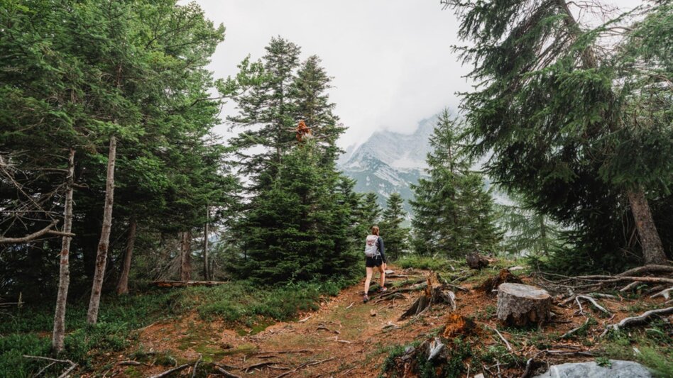 Wanderung Tressenstein ab Schloss Trautenfels - Touren-Impression #2.15 | © Christoph Lukas