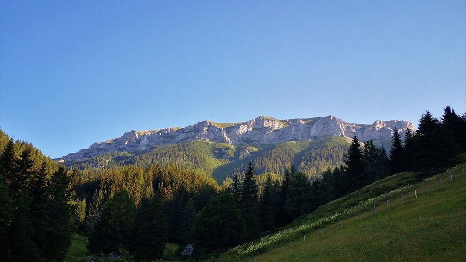 Mountain Hike Via the Amaliensteig to the Rax in the Mürzer Oberland Nature Park - Touren-Impression #2.1 | © TV Hochsteiermark