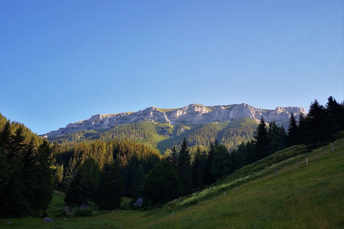 Mountain Hike Via the Amaliensteig to the Rax in the Mürzer Oberland Nature Park - Touren-Impression #1 | © TV Hochsteiermark
