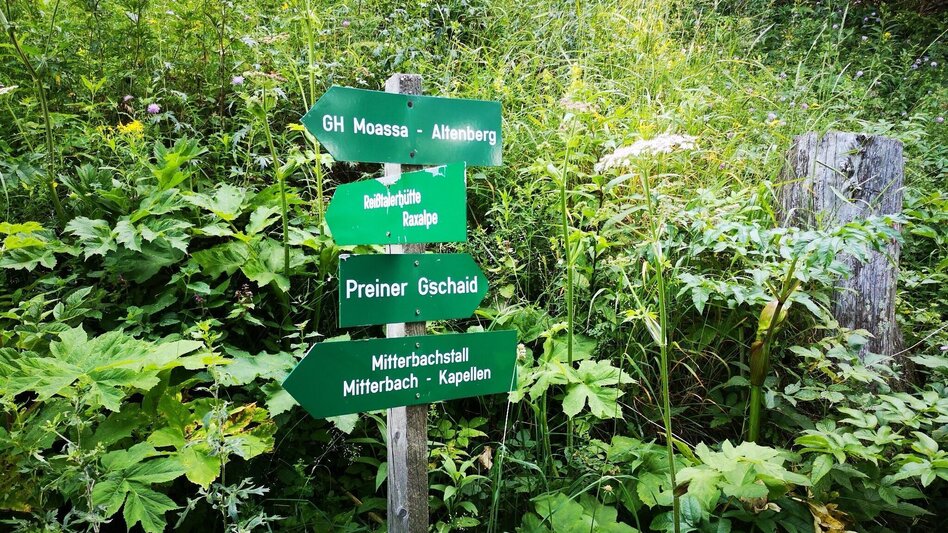 Mountain Hike Via the Amaliensteig to the Rax in the Mürzer Oberland Nature Park - Touren-Impression #2.2 | © TV Hochsteiermark