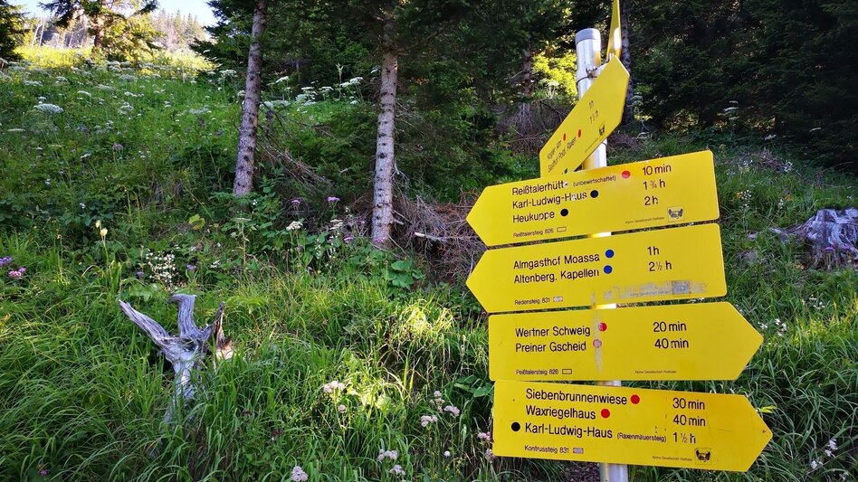 Mountain Hike Via the Amaliensteig to the Rax in the Mürzer Oberland Nature Park - Touren-Impression #2.3 | © TV Hochsteiermark