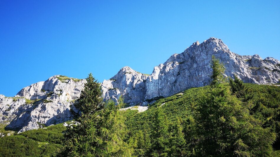 Mountain Hike Via the Amaliensteig to the Rax in the Mürzer Oberland Nature Park - Touren-Impression #2.5 | © TV Hochsteiermark