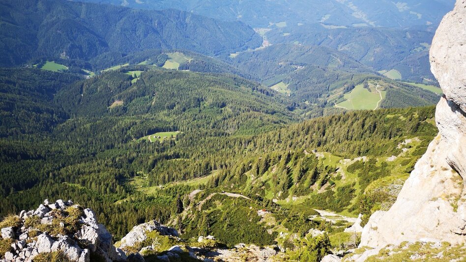 Mountain Hike Via the Amaliensteig to the Rax in the Mürzer Oberland Nature Park - Touren-Impression #2.9 | © TV Hochsteiermark