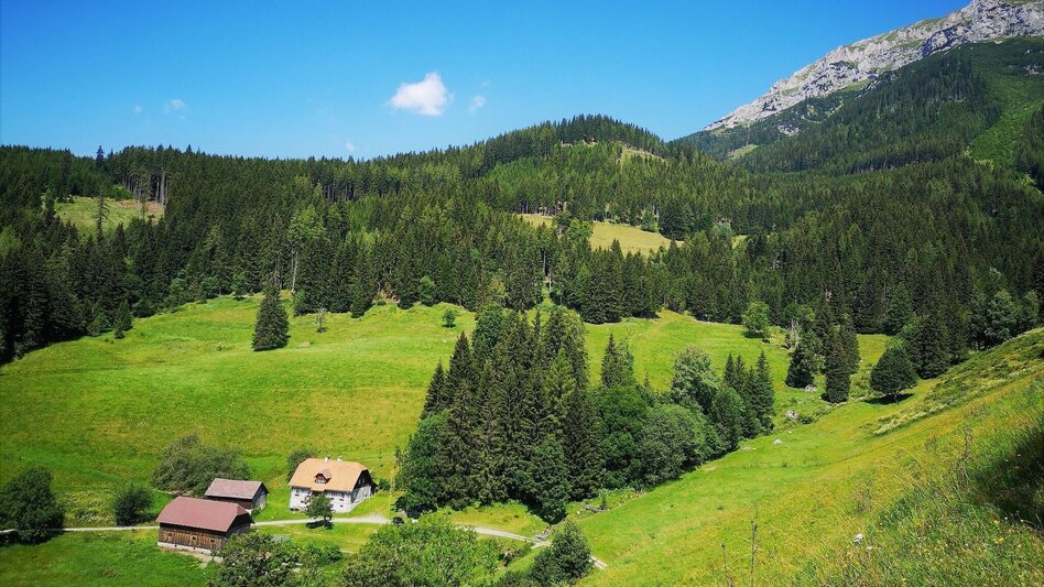 Mountain Hike Via the Amaliensteig to the Rax in the Mürzer Oberland Nature Park - Touren-Impression #2.11 | © TV Hochsteiermark