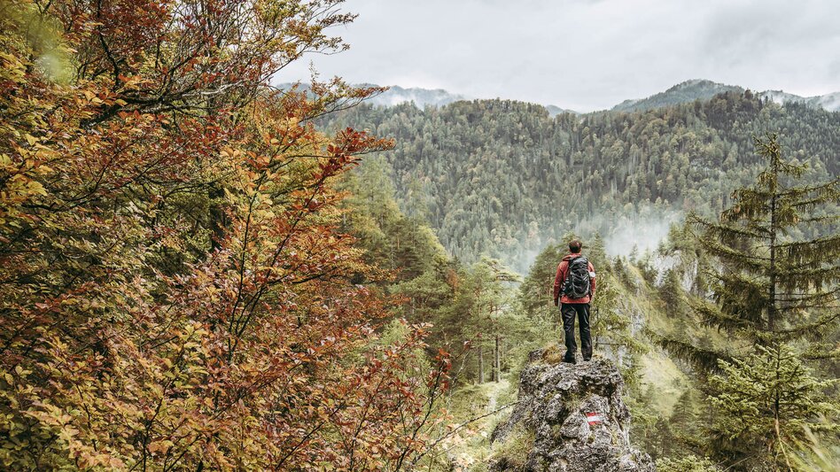 Long-Distance Hiking Trail Lynx Trail - Through Austria’s wild heartlands - Touren-Impression #2.4 | © TV Gesäuse