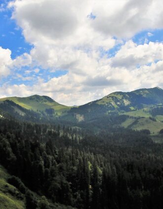 Blick von der Hinteralmstraße in Richtung Bodenalm und Waxenegg | Andreas Steininger | © TV Hochsteiermark