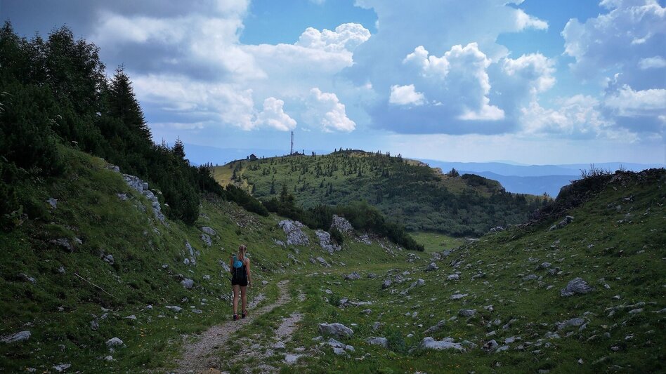 Hiking Route Via the "Farfel" to Schneealm and Rauhenstein in the Mürzer Oberland Nature Park - Touren-Impression #2.3 | © TV Hochsteiermark