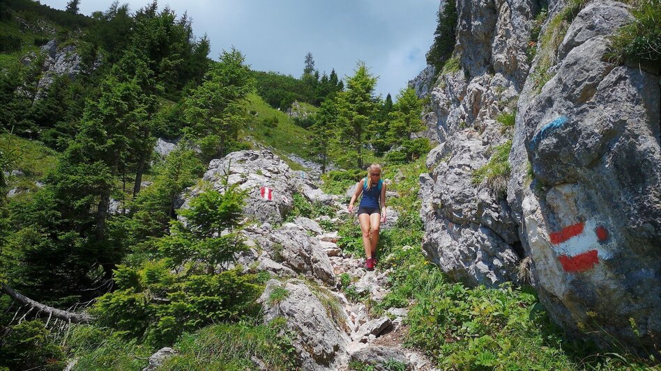 Hiking Route Via the "Farfel" to Schneealm and Rauhenstein in the Mürzer Oberland Nature Park - Touren-Impression #2.4 | © TV Hochsteiermark