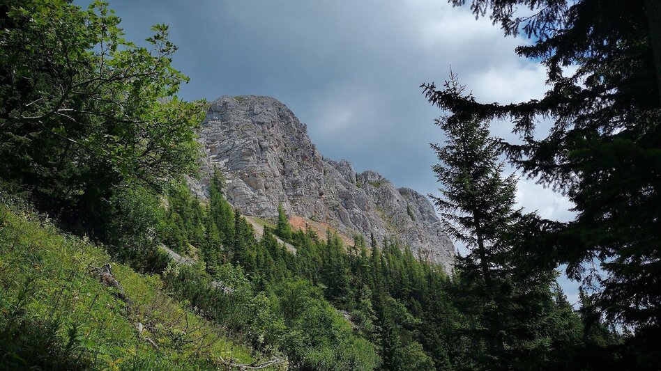 Hiking Route Via the "Farfel" to Schneealm and Rauhenstein in the Mürzer Oberland Nature Park - Touren-Impression #2.5 | © TV Hochsteiermark