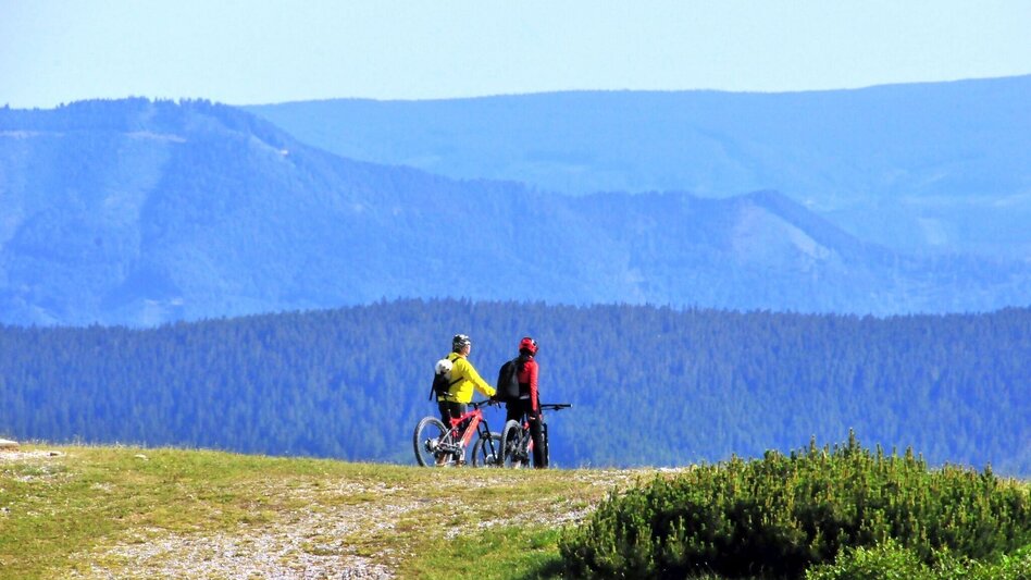 Cycling E-Bike Tour to Schneealm - Cheese Dairy - Touren-Impression #2.2 | © Naturpark Mürzer Oberland