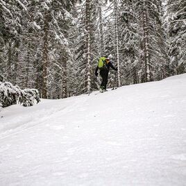 Verschneiter Wald am Weg zum Hahnalpl | © Erlebnisregion Schladming-Dachstein