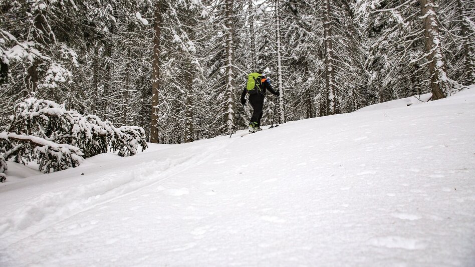 Ski Touring Ski tour to the Hahnalpl - Touren-Impression #2.1 | © Erlebnisregion Schladming-Dachstein