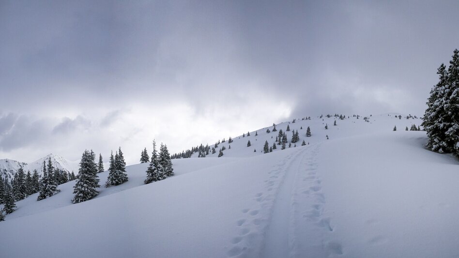 Ski Touring Ski tour to the Hahnalpl - Touren-Impression #2.2 | © Erlebnisregion Schladming-Dachstein