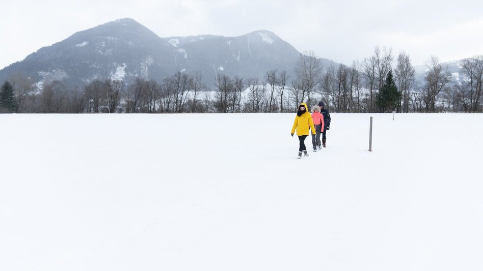 Winter Hiking Enns- and Moosweg Wörschach - Touren-Impression #2.3 | © Erlebnisregion Schladming-Dachstein