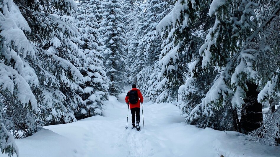 Snowshoe Walking Snowshoe hiking tour at Schönmoos - Touren-Impression #2.1 | © Erlebnisregion Schladming-Dachstein