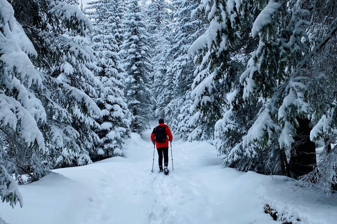 Snowshoe Walking Snowshoe hiking tour at Schönmoos - Touren-Impression #1 | © Erlebnisregion Schladming-Dachstein