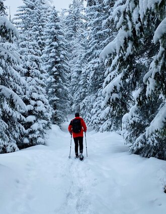 Snowshoe hike in the Schönmoos | Christoph Lukas | © Erlebnisregion Schladming-Dachstein