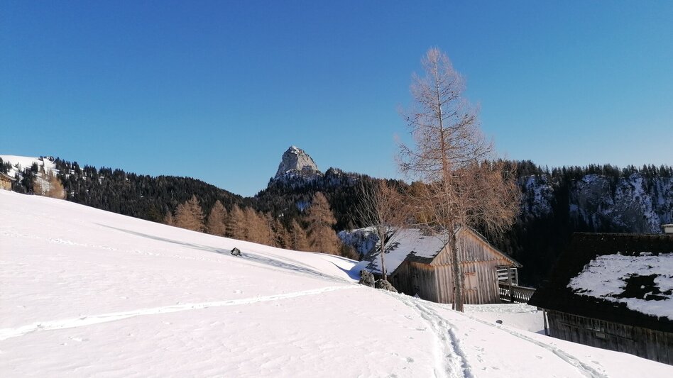 Snowshoe Walking Snowshoe hiking tour Bärenfeichtenalm - Touren-Impression #2.1 | © Barbara Luidold