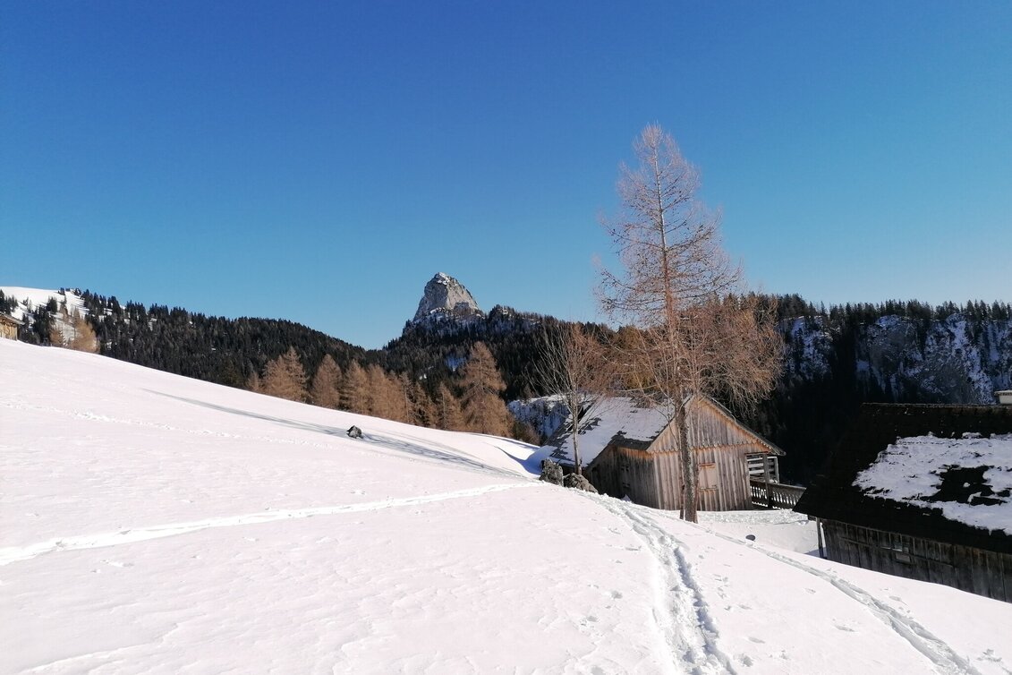 Snowshoe Walking Snowshoe hiking tour Bärenfeichtenalm - Touren-Impression #1 | © Barbara Luidold
