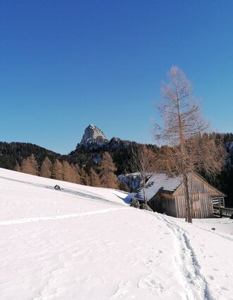 Bärenfeichtenalm with Hochtausing view | Barbara Luidold | © Barbara Luidold
