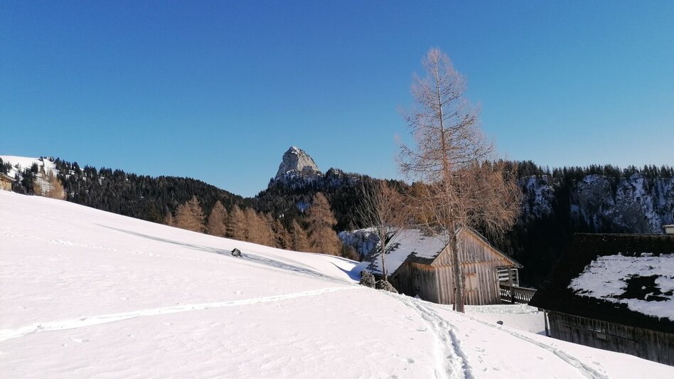 Ski Touring Ski tour to the Bärenfeichtenalm - Touren-Impression #2.1 | © Erlebnisregion Schladming-Dachstein