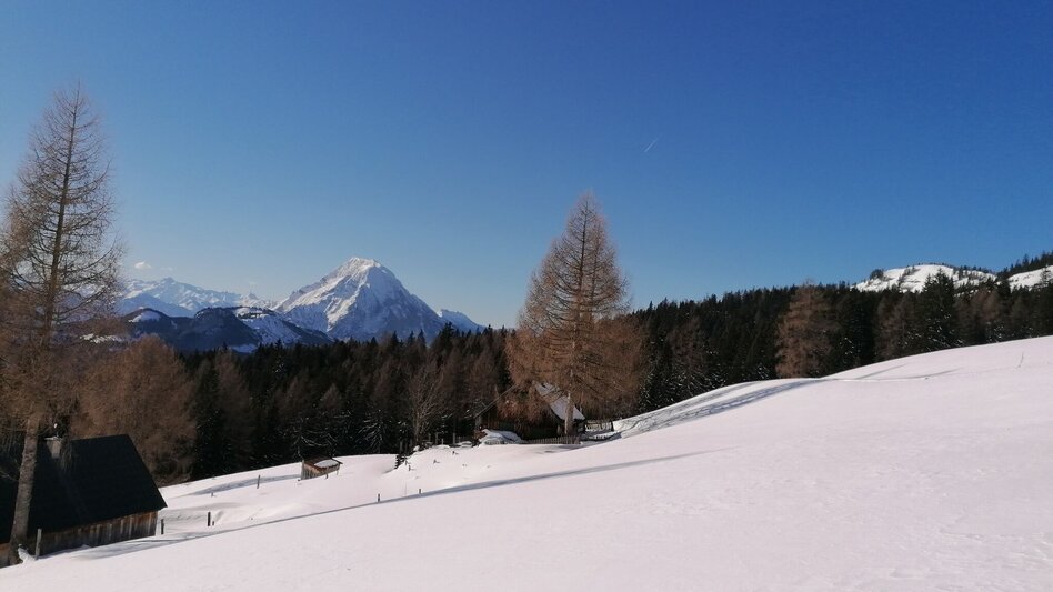 Ski Touring Ski tour to the Bärenfeichtenalm - Touren-Impression #2.2 | © Erlebnisregion Schladming-Dachstein
