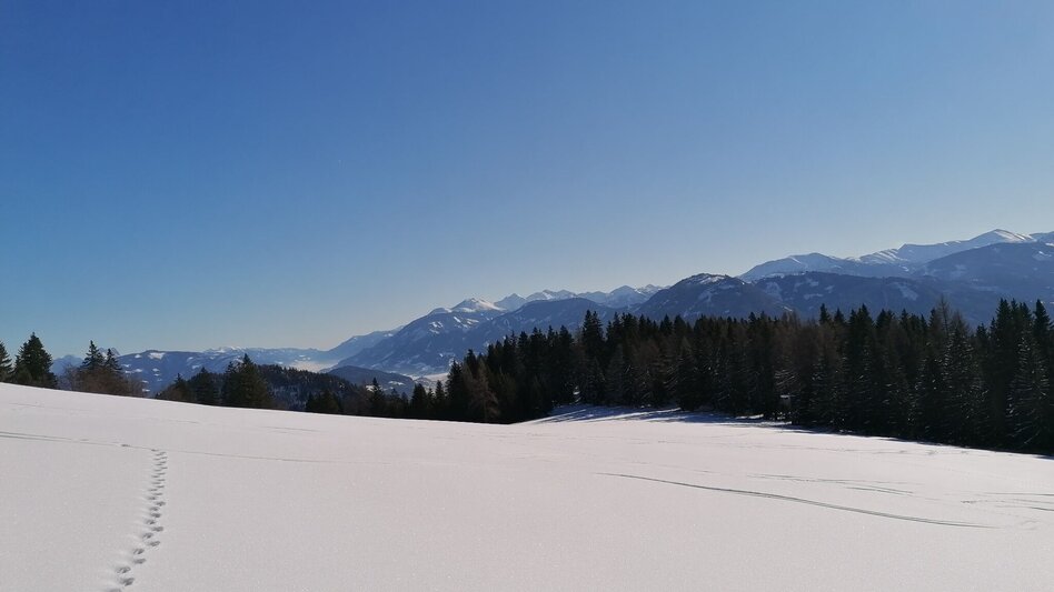 Ski Touring Ski tour to the Bärenfeichtenalm - Touren-Impression #2.7 | © Erlebnisregion Schladming-Dachstein