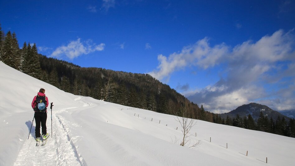 Ski Touring Ski tour to the Bärenfeichtenalm - Touren-Impression #2.4 | © Erlebnisregion Schladming-Dachstein