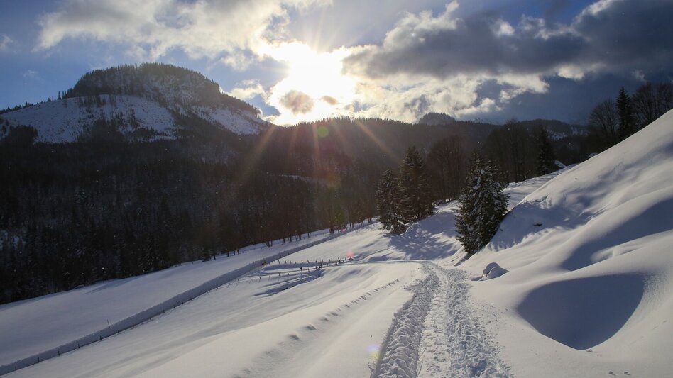 Ski Touring Ski tour to the Bärenfeichtenalm - Touren-Impression #2.5 | © Tourismusverband Grimming-Donnersbachtal