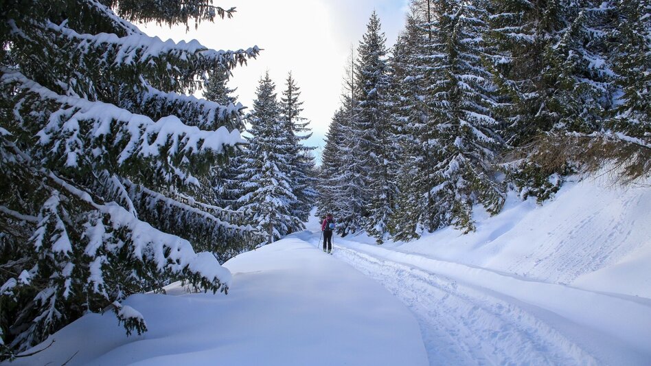 Ski Touring Ski tour to the Bärenfeichtenalm - Touren-Impression #2.6 | © Erlebnisregion Schladming-Dachstein