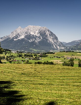 20250808_Aigen-Gatschberg-Donnersbach_3999.jpg | Gerhard Pilz | © Gerhard Pilz