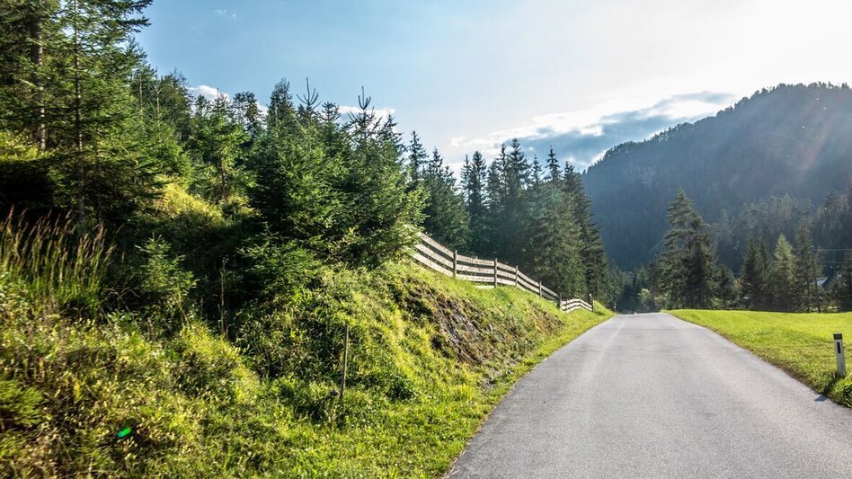 Mountain Biking Wildalpen-Krumpenrunde - Touren-Impression #2.7 | © TV Gesäuse