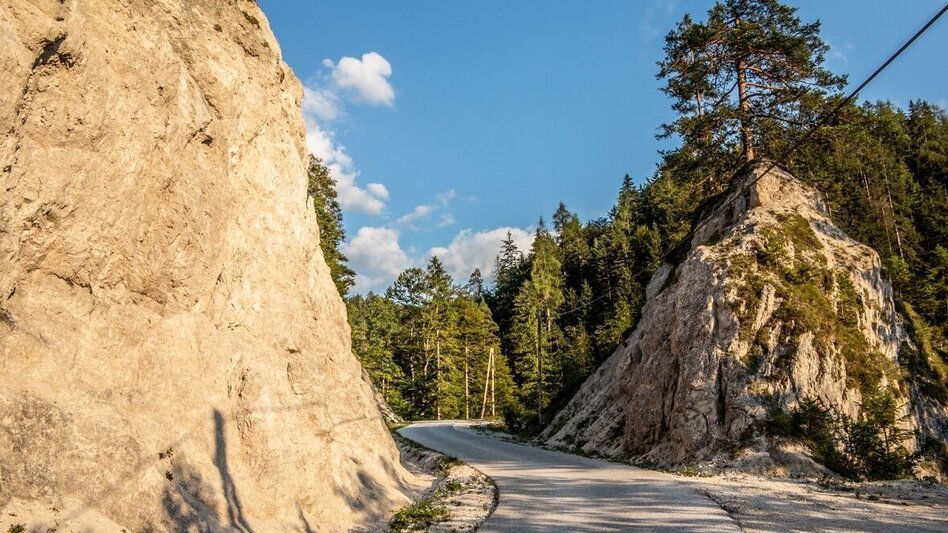 Radfahren Wildalpen - Hühnermauer - Touren-Impression #2.5 | © TV Gesäuse
