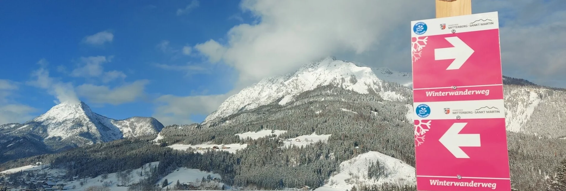 Winter Hiking Winter hiking trail Mitterberg - Touren-Impression #1 | © Erlebnisregion Schladming-Dachstein