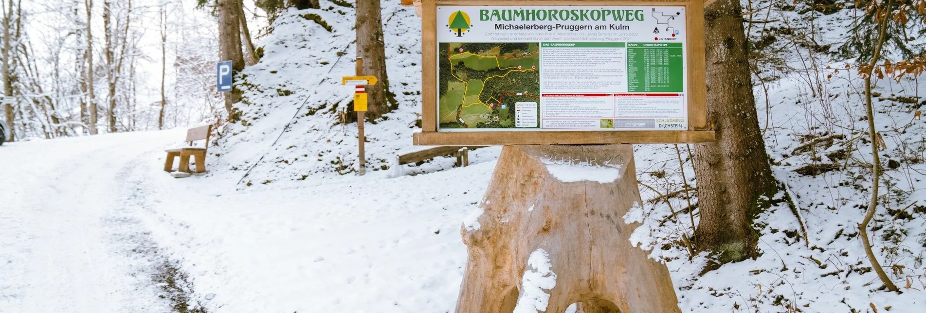 Winter Hiking Winter hike tree horoscope trail (Baumhorosokopweg) - Touren-Impression #1 | © Erlebnisregion Schladming-Dachstein
